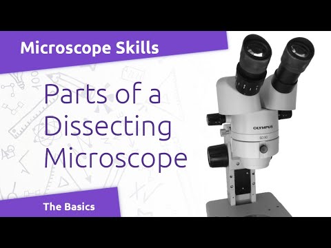 Stero microscope and parts, magnification: 100x, is it porta...