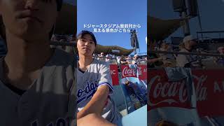 ドジャースタジアムの最前列から見える景色がこちら #dodgers #ドジャース #大谷翔平