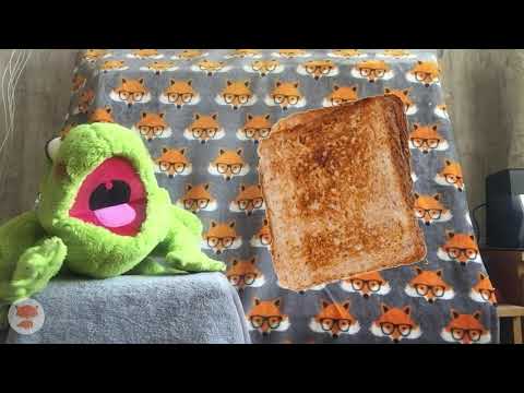 Read Write Inc. - Fred Games - The Fridge Ep3