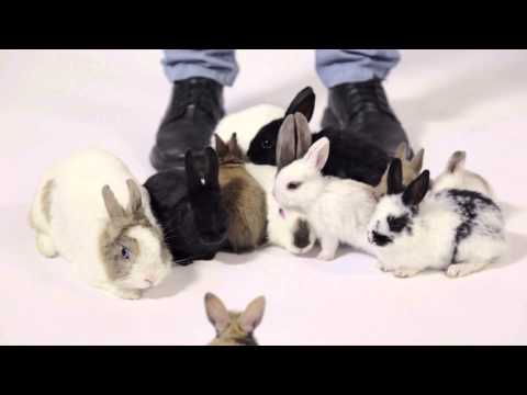 Vraťte mi hvězdnou oblohu