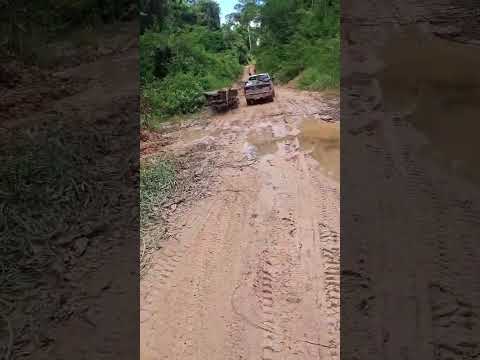 18. 2.2026. linha 70. parecis Rondônia.