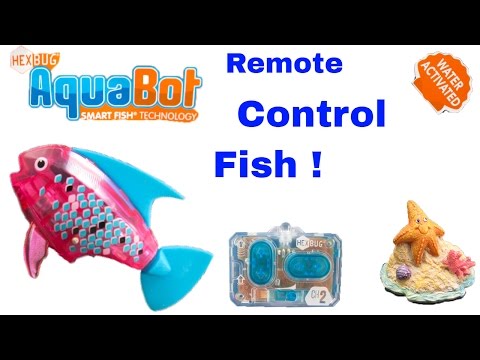 Underwater GoPro Fun Hex Bug Aqua Bot Remote Control Angelfish Bath Toy Unboxing Kids Bath Toys