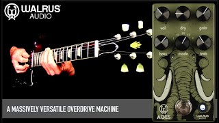 Video thumbnail for Walrus Audio Ages Five-State Overdrive by Mike Hermans