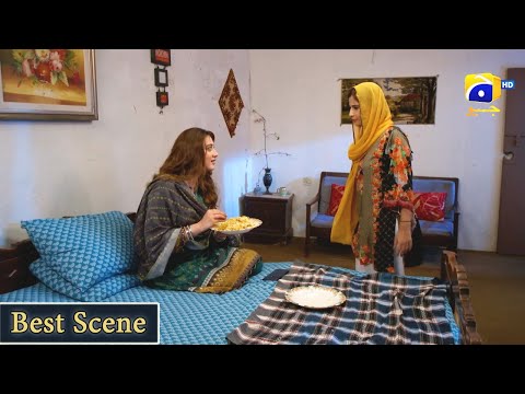 Grift Episode 39 || 𝗕𝗲𝘀𝘁 𝗦𝗰𝗲𝗻𝗲 𝟬𝟴 || Ali Abbas - Saniya Shamshad || Har Pal Geo