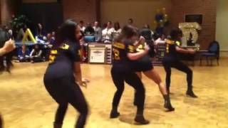 Sigma Lambda Upsilon Fall'13