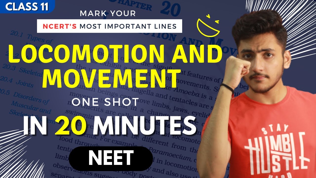 Locomotion and Movement Class 11 | Biology | For NEET | Full Revision In 20 Minutes