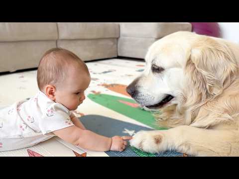 YouTube 썸네일