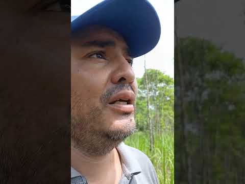 granja el canal albania caqueta 7 enero 2026