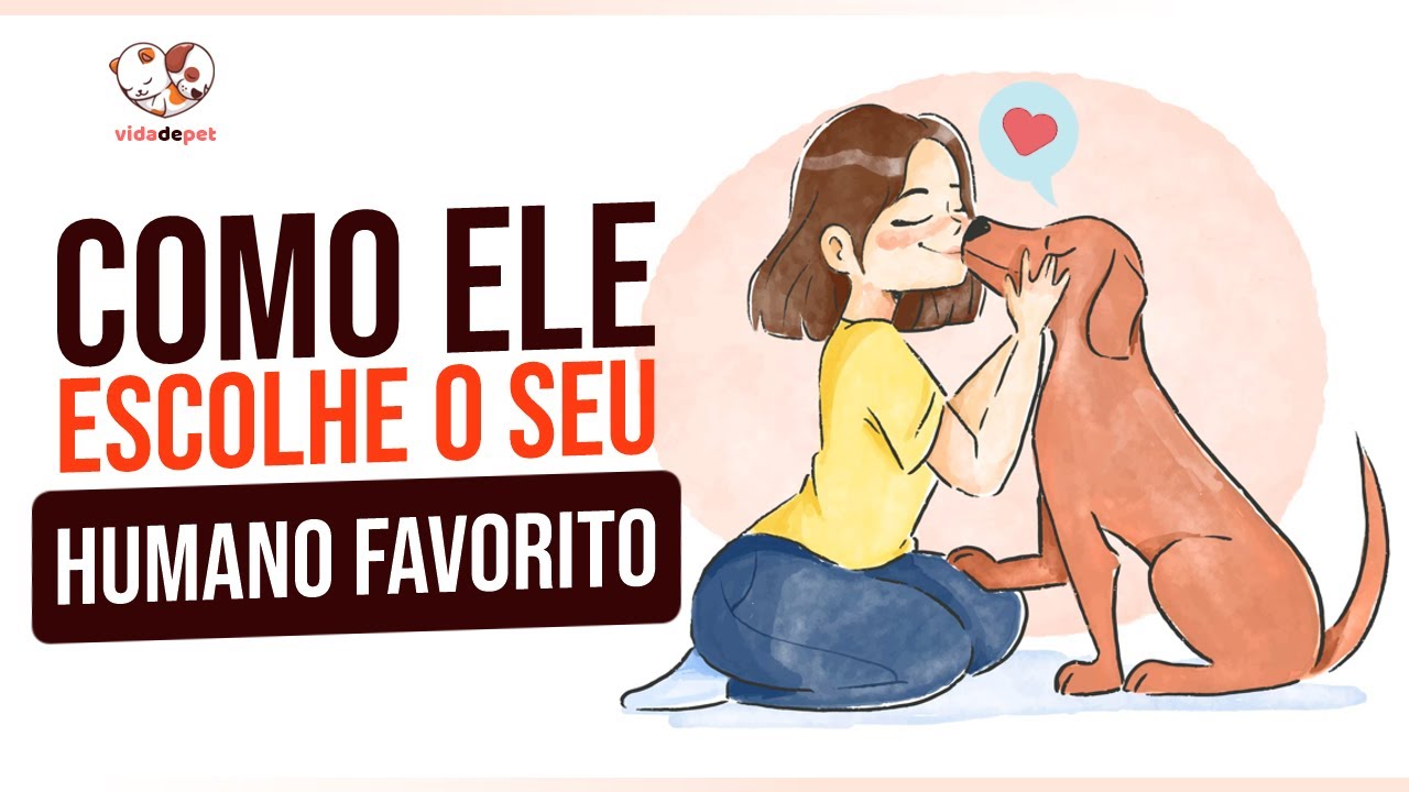 CONFIRMADO! PORQUE CÃES ESCOLHEM SEU HUMANO FAVORITO