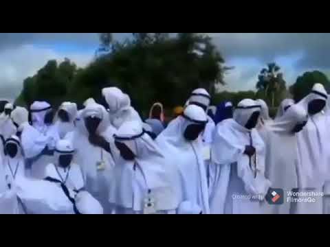 Viral video shows Senegalese cleric leading prayers in Fula language
