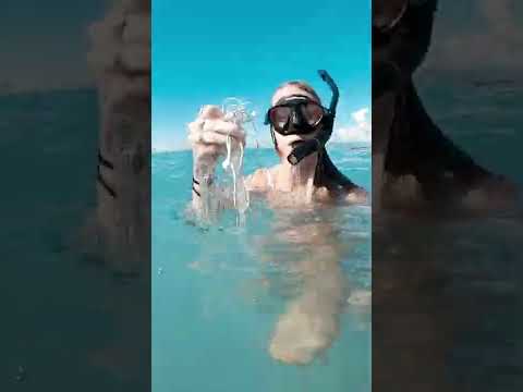 Diver makes amazing Discovery #Shorts
