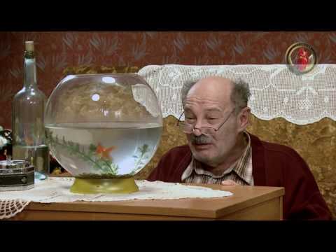 Lud, zbunjen, normalan Ep 59 - Zlatna ribica (CIJELA EPIZODA)