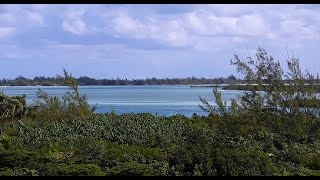 タークス・カイコス諸島 プロビデンシアレス島 リーワード