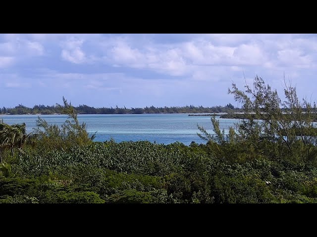 タークス・カイコス諸島 プロビデンシアレス島 リーワード