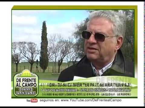 DE FRENTE AL CAMPO junto a CABAÑA "LA PAZ" de WERTHEIN