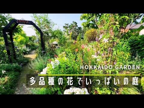 花を早く成長させるにはどうすればよいですか？植物の成長を促進するための庭師の 8 つの秘密  庭園