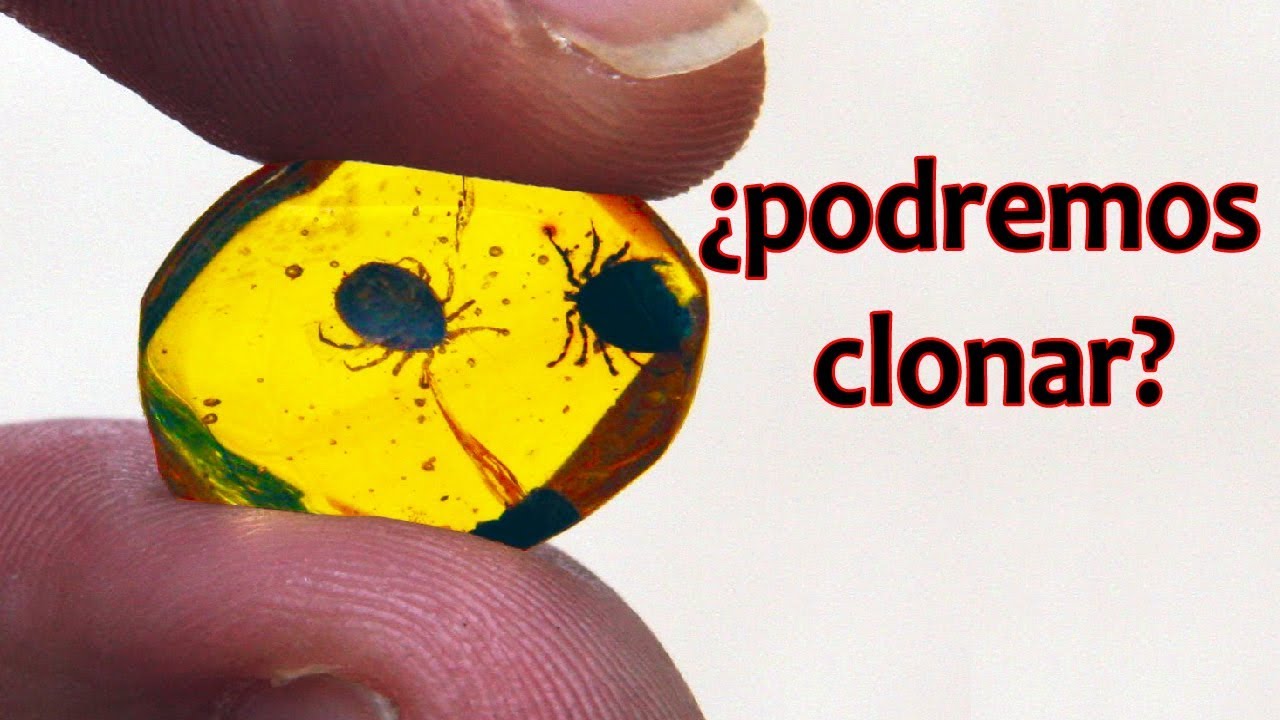 Encontrada garrapata con sangre de dinosaurio | Noticias 18/12/2017