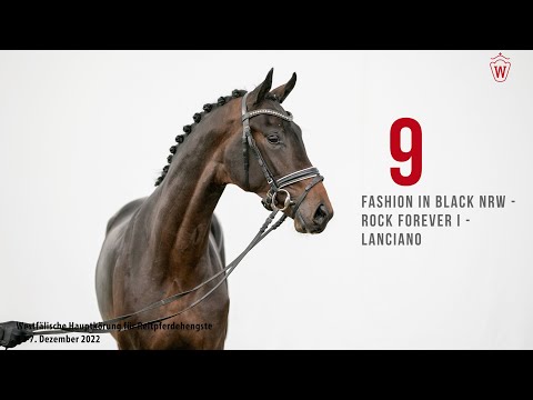 Westf. Hauptkörung 2022 Reitpferde: Kat.Nr. 09  Fashion in Black NRW  -  Rock Forever I  -  Lanciano