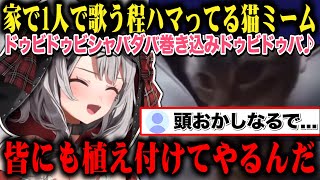【巻き込みドゥビドゥビ】ハマってる猫ミームをリスナーに焼き付けようとしつこく歌い続ける沙花叉クロヱw【切り抜き/ホロライブ】