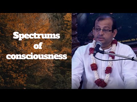 H.G. Dwarkadhish Prabhu | Spectrums of consciousness | ISKCON Chowpatty