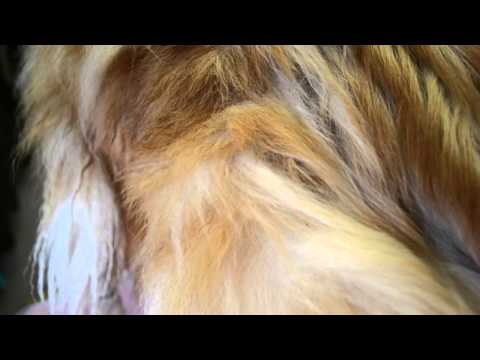 was en blaas methode