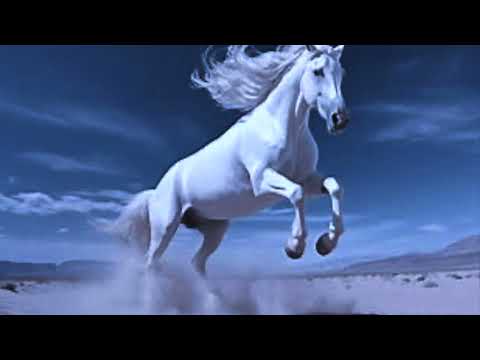 Danny Peck The Whisper