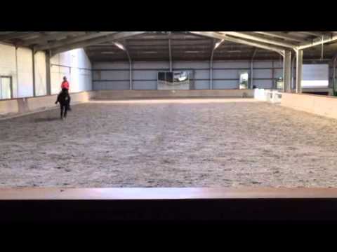 Vabiola Grand Prix Kür Hunger Games