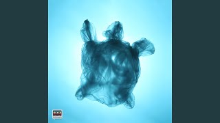 Plastic Sea Music Video