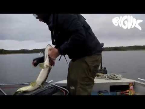 Gäddfiske på Åland 2014, Första avsnittet "Djur från A-Ö"