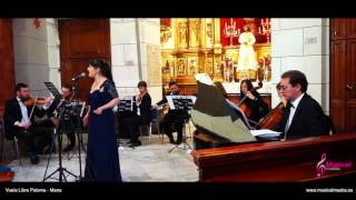 Vuela Libre Paloma Mana Maná