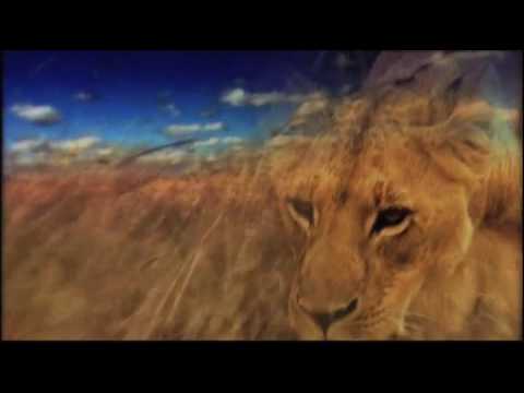 Thumbnail for Roar video