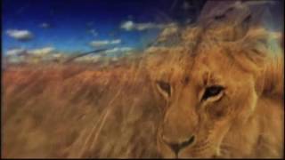 Roar By-Ray Boltz: Official Music Video