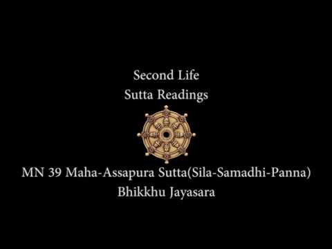 Sutta Discussion : MN 39 Maha-Assapura