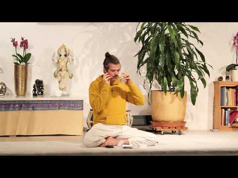 Fortgeschrittenes Pranayama mit Felix - Yoga Vidya Ashram Live 6:00 Uhr 20.11.2021
