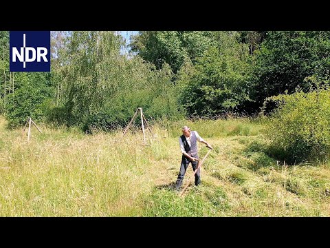 Mit Pferd und Sense - Ackern für den Artenschutz | NDR