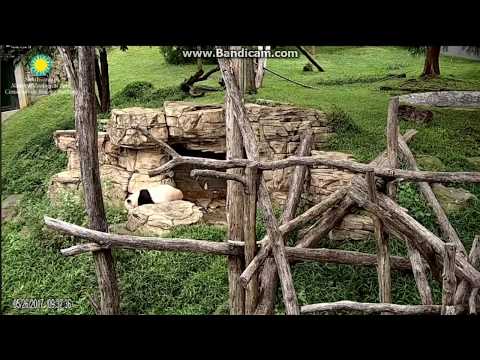 2017.05.26 TIAN WANTS TO TOUCH HIS SWEET GIRL...