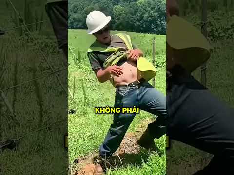 Vì sao động vật 'sợ hãi' sợi dây này?