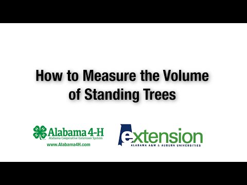 Part of a video titled How to Estimate the Volume of Standing Trees - YouTube