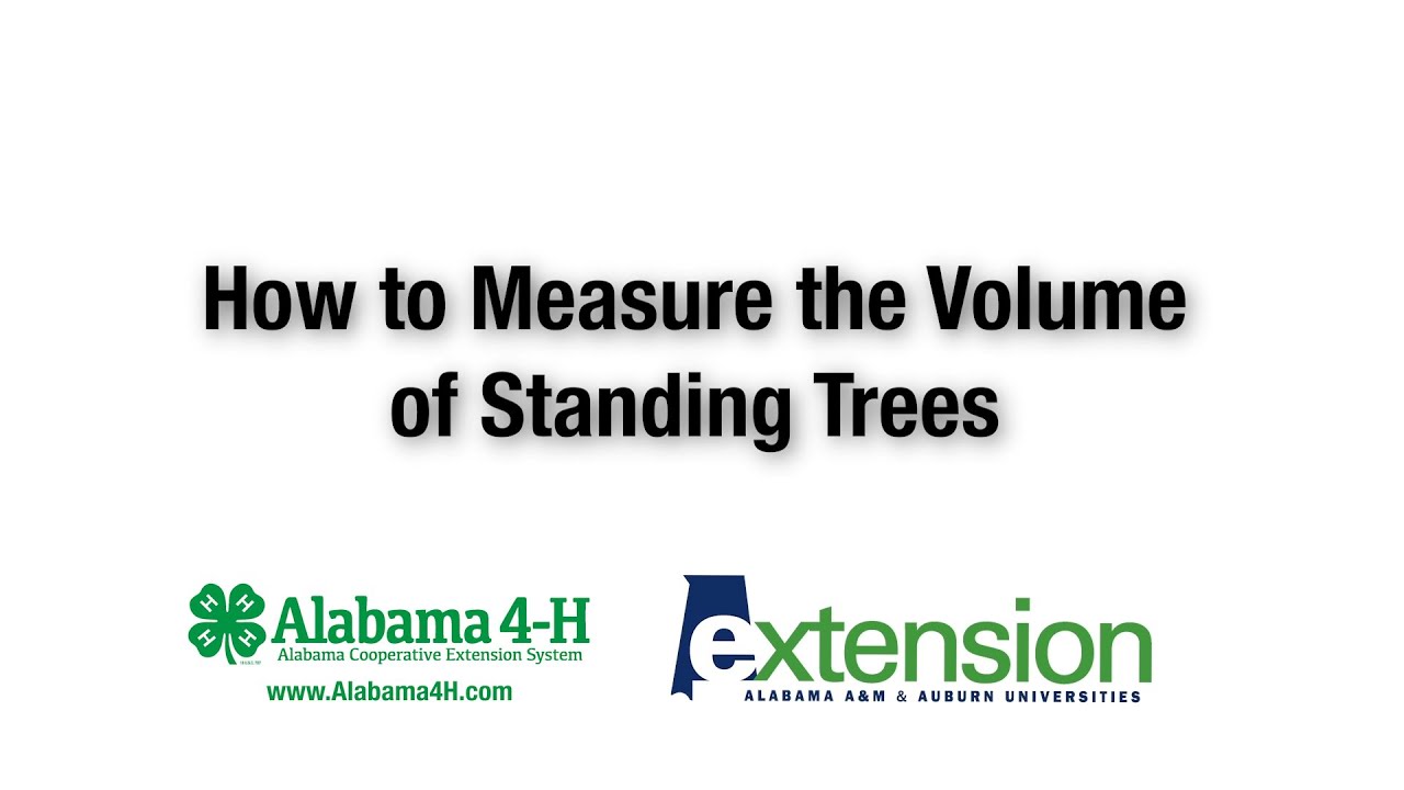 How to Estimate the Volume of Standing Trees