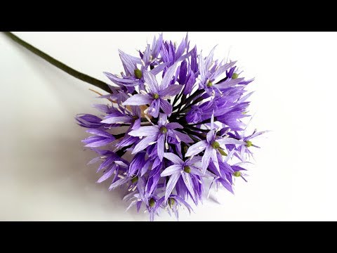 ABC TV | How To Make Allium Paper Flower From Crepe Paper - Craft Tutorial