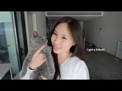 First WEEK with Our Kitten 𐔌՞. .՞𐦯 British Shorthair 🐈‍⬛