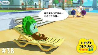 【生配信】#38｜約20日ぶりのチーササコシティ【トモダチコレクションわくわく生活】