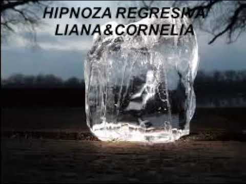 Hipnoza Regresiva 254 Mihai