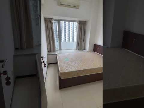 都会轩 Youtube Video