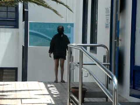 zorrocloco en estado puro parte 1