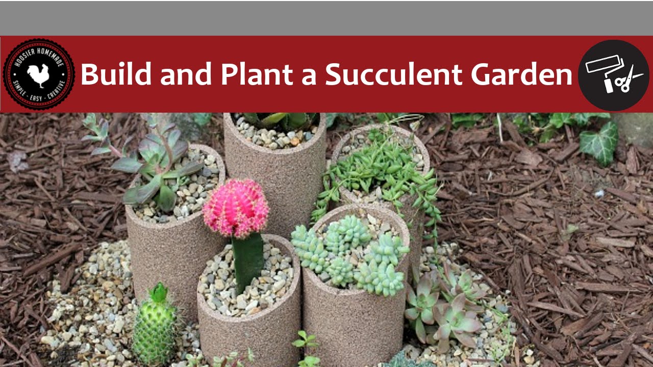 How to Build and Plant a Succulent Garden - Easy DIY Project