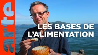 Les clés de la nutrition | La science passe à table (1/3) | ARTE
