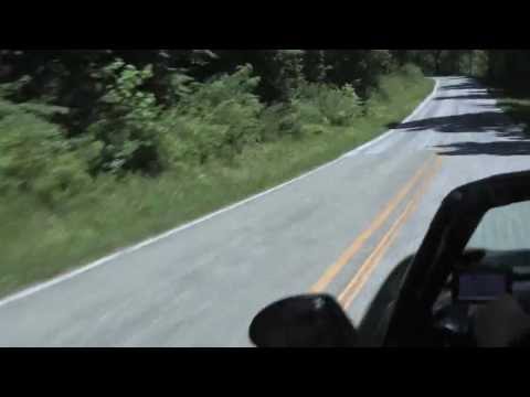 Attack Of The G-Forces! by ARKiV