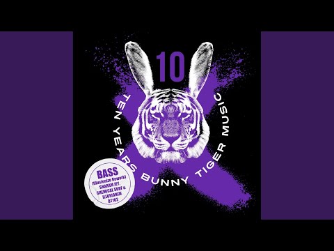 Bass (Illusionize Rework)