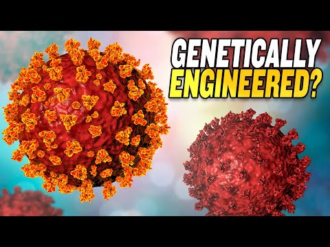 Proof of Wuhan Coronavirus Lab Leak?